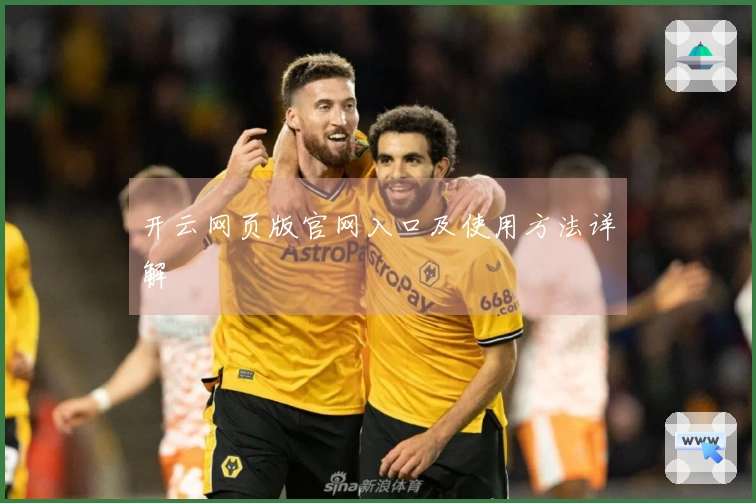 开云网页版官网入口及使用方法详解