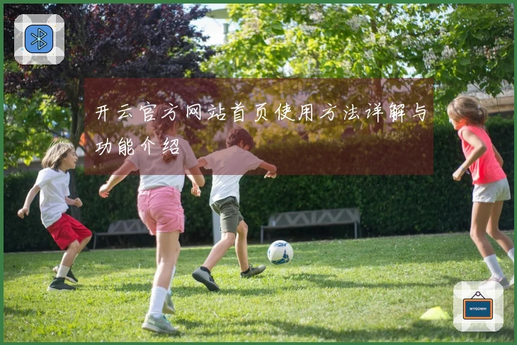 开云官方网站首页使用方法详解与功能介绍